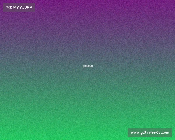 女排赛事有哪些