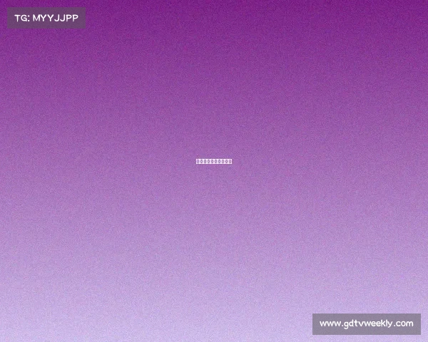 小型国际赛事小型比赛